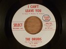 The Druids  I Can't Leave You/Girl Can't Take A Joke  Promo  Garage, Beat