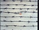 dies irae - first ( D  1971 ) Vinyl LP reissue- black Vinyl