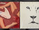 GREAT WHITE Twice Shy LP & WHITE LION Pride LP - RARE CLUB EDITIONS-NO BARCODES