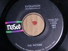 The Picture NASCO 002 M- 