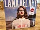 Lana Del Rey Vinyl “Born to Die” Red Limited Edition Target Exclusive Record