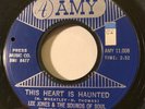 NORTHERN SOUL Lee Jones & The Sounds of Soul THIS HEART IS HAUNTED Amy 45 rare