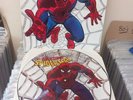 Amazing Spiderman From Beyond The Grave A Rockomic Vinyl Record Picture