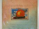 Allman Brothers Band 