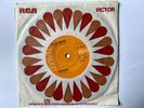 David Bowie - Changes - Company Sleeve - NZ Original RCA