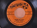 PHYLLIS DILLON Hands of Love / Make Me Yours REGGAE 45 SURE SHOT ORIG