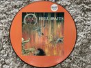 Slayer hell awaits Picture Vinyl nummeriert aus 1985