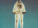 Weather Report - I Sing The Body Electric / VG+ / LP, Album