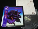 THIN LIZZY - BLACK ROSE A ROCK LEGEND - JAPAN VINYL LP OBI 17PP-2