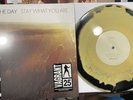 Saves The Day Stay What You Are Custard Black Swirl 10” Colored Vinyl LP Newbury