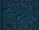 RYAN ADAMS & CARDINALS - COLD ROSES NEW VINYL