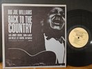 Big Joe Williams Jimmy Brown Willie Lee Harris Back To The Country '64 Testament