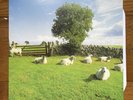 The KLF Chill Out Clear Vinyl LP mint new rare limited edition coloured reissue