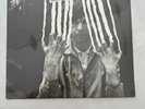 Peter Gabriel, Self Titled, 12” Vinyl, 1978, New, Sealed, SD 19181, Genesis Rock