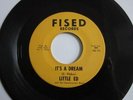 RARE BLUES FUNK PSYCH Little Ed IT'S A DREAM Struggling For Survival FISED #101