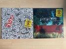 PARAMORE Vinyl Riot und All We Know Is Falling SILVER EDITION VINYL NEU OVP