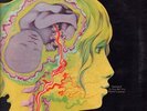 Keith Tippett Group Dedicated To You But You Weren't Listening LP vinyl UK Swirl