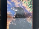 The Stranglers - The Raven vinyl LP LTD Edition 3D Sleeve 1979 UA Punk Pre-owned
