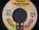 TIMOTHY WILSON: pigtails / say it again BUDDAH 7