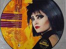 siouxsie and the banshees vinyl Picture Disc Limited Peel Sessions  1991