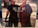 Fall Out Boy Save Rock and Roll Vinyl 10/10 condition