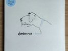 Damien Rice 