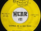 Superb Hillbilly Rockabilly Mover 45 THE FLOWERS FAMILY on MUS-I-COL OH Rite mp3