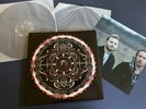 Shinedown - Amaryllis 2012 1st Press With Posted LP Vinyl EX