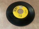 GARAGE ROCK 45 Z Z TOP SALT LICK SCAT 45-500 VG+