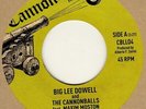 Big Lee Dowell  What I Done Wrong Cannonball Soul Northern Motown