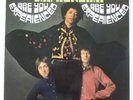 THE JIMI HENDRIX EXPERIENCE Are you experienced   DUTCH PRESSING VINYL LP