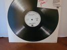 Oingo Boingo Nothing to Fear Private Life 12