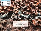 Cable Ties - All Her Plans Metalic Blue Ice Vinyl Edition (2023 - US - Original)