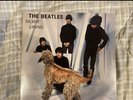 The Beatles – Silver Lining
