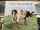 Pink Floyd – Atom Heart Mother [1975] Vinyl LP