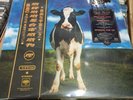 Pink Floyd Libest Spacement Monitor Lp