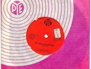 Mungo Jerry In The Summertime 7