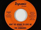 Northern Soul 45 - Commands - Don't Be Afraid To Love Me - Dynamic - VG+ mp3