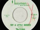 Northern Soul 45 - Fi-dels - Try A Little Harder - Keymen - mp3