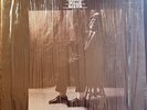 Willie Dixon 