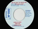 Sweet Soul/Funk Disco 45 - King Clark - We've Got To Hold On - M-Odd - rare