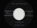 Sweet Soul/Funk 45 - Ash Soul, Inc. - I Do Love You - Soul Ash - VG++ mp3 rare