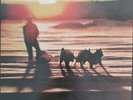The Human League ‎– Travelogue 1980 Vinyl LP 33 RPM Virgin ‎– V 2160