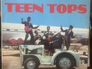 LOS TEEN TOPS / La Plaga  Latin Pop/Rock 1 Vinyl