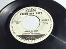 Impossible To Find On Sparton Canada 1960 Rockabilly 45 *Johnny Kidd & Pirates*