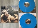 INTERPOL Our Love To Admire Paul Banks HAND SIGNED Blue Vinyl Autographed 12” LP