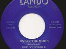 Rufus Wonder & The Additions - Under The Moon 7