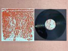 Natural Information Society & Bitchin Bajas ‎– Automaginary (Vinyl LP)