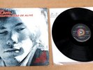 Warren Zevon Wanted Dead Or Alive USA Vinyl LP Near Mint Free Shipping