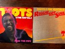 toots and the maytals vinyl x 2 : Reggae got Soul, Pass The Pipe